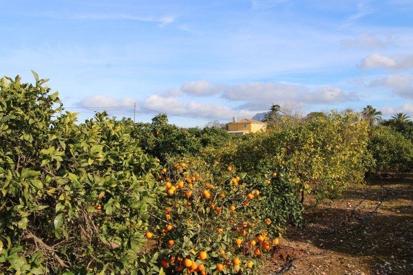 img013190.jpg